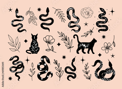 Set of mystical celestial black cats and snakes, flowers and branches, vector floral and fauna illustration, mystical floral elements and animals