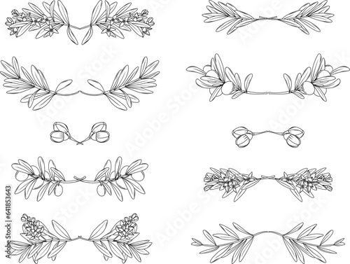 Set of hand drawn olive borders in minimal line art style, floral text dividers for label, corporate identity, wedding invitations and cards