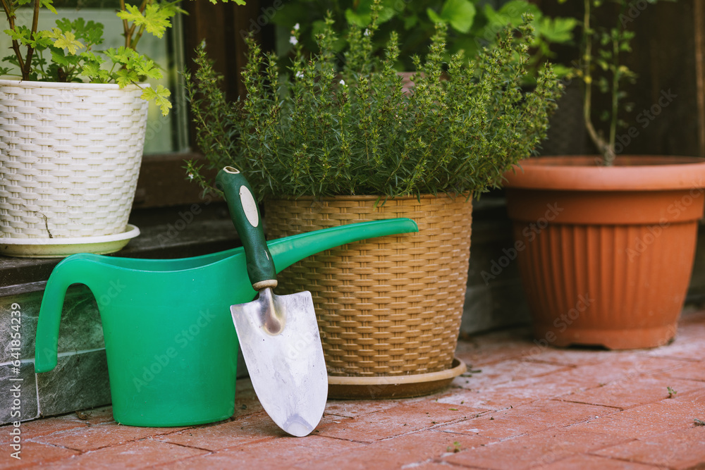 Fototapeta premium garden tool for indoor and garden plants