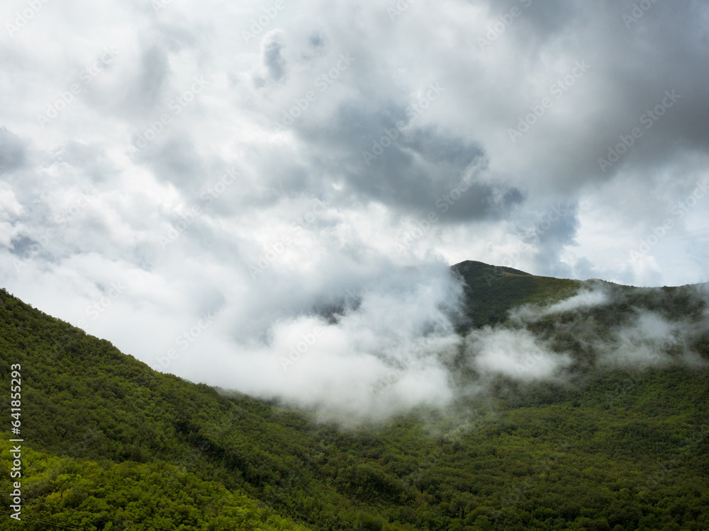 Dark fog and mist over a moody forest landscape. Mountain fir trees with dreary dreamy weather. Blues and greens.