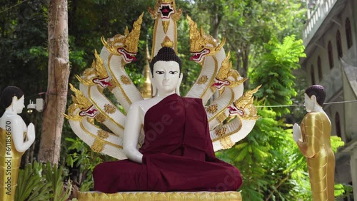 snake dead budaro in Wat Ruese Pa Saeng Tham temple on Koh Phangan island, thailand