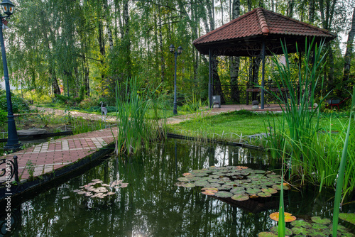 Pond and water planrs and alcove  amon trees in cottage (Russian dacha) garden photo