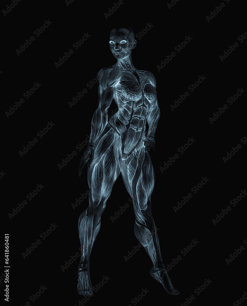 female bodybuilder is standing up in white background female bodybuilder is standing up in white background