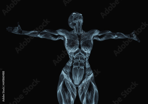 female bodybuilder is showing the muscles with the arms wide open white background