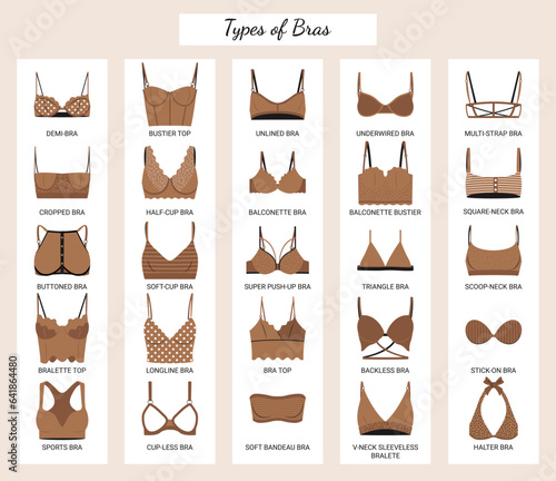 Types of bras. Big vector set of lingerie. photo