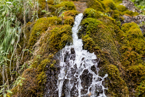 clean spring water running down moss covered mountain