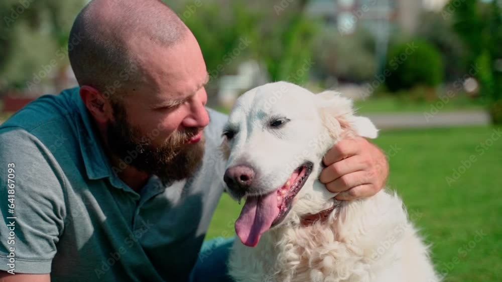 Man pet owner plays with his happy pet dog golden retriever outside on lawn public park during summer. Man pet owner plays with his happy pet dog golden retriever outside on lawn public park during summer.