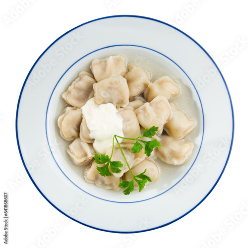 Delicious meat dumplings in broth, served with sour cream and decorated with fresh greenery. Isolated over white background
