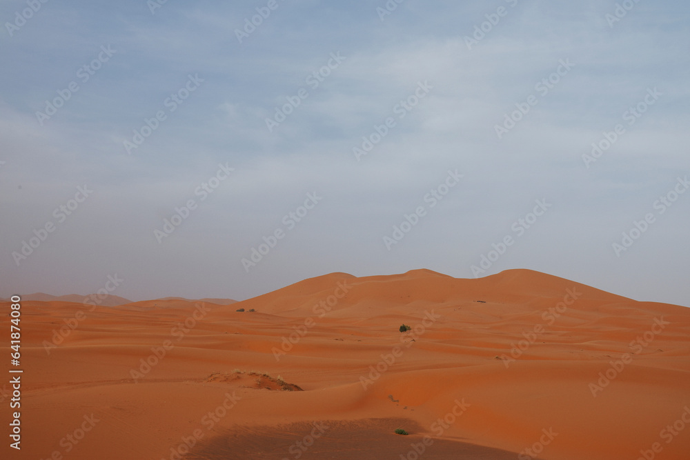 Paesaggio desertico con dune di sabbia arancione