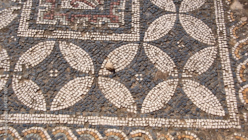 Tile mosaic floor in the Roman ruins at Oudna, outside of Tunis, Tunisia