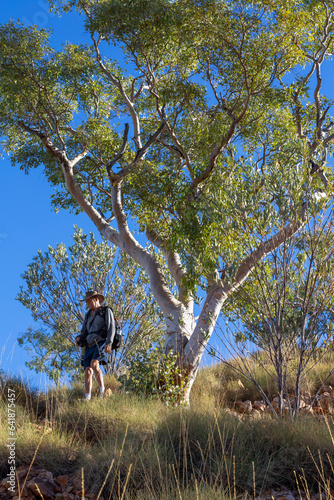 Man walking under a eucalyptus tree in the bush in outback Australia.