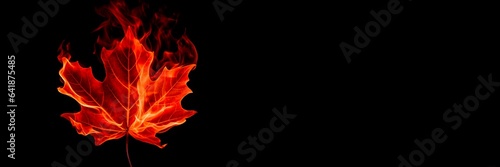 Burning maple leaf on black background. Copy space
