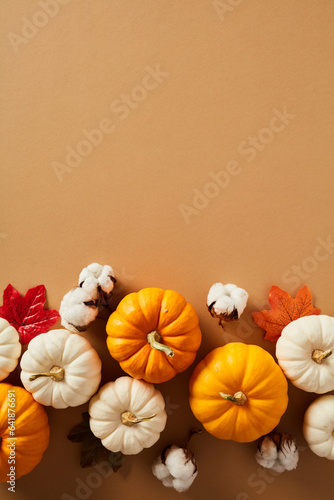 Ripe autumn pumpkins, cotton, maple leaves on pastel brown background. Aesthetic minimal fall composition. Happy Thanksgiving poster template.
