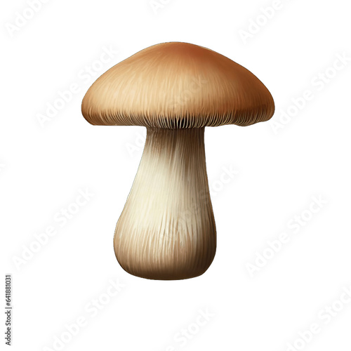 Artful Mushroom Imagery, Generative AI