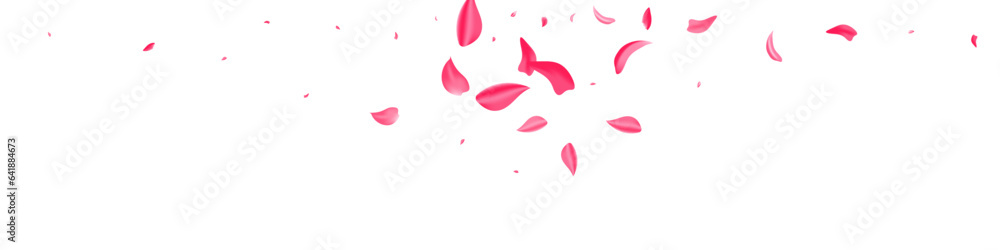 Delicate Petal Beauty Vector White Panoramic Delicate Petal Beauty Vector White Panoramic