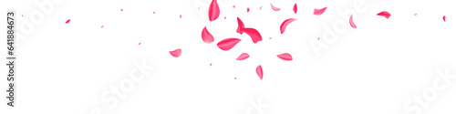 Delicate Petal Beauty Vector White Panoramic