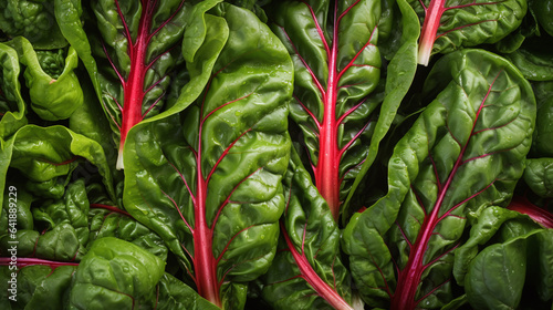 Canvas-taulu Top view full frame of whole ripe swiss chard placed together as background