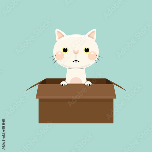 Cute cat in box. Adopt homeless pet. Vector illustration.