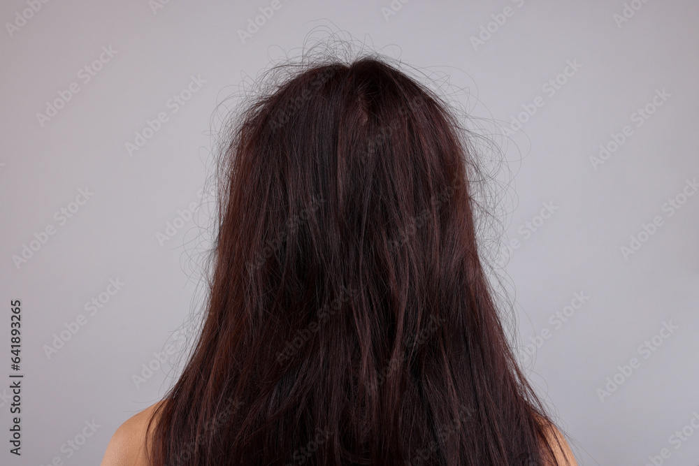Woman with damaged hair on light grey background, back view Woman with damaged hair on light grey background, back view