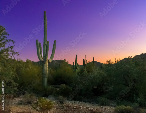 Desert scenery in American Southwest of Arizona and California