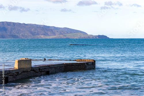 Whale resting in Taputeranga Marine Reserve in Wellington, New Zealand