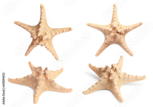 Collage with sea star isolated on white, different angles