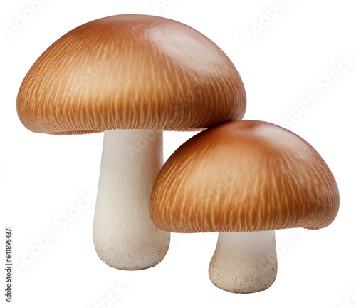 Brown champignon mushrooms isolated. 3D illustration. © Pro Hi-Res