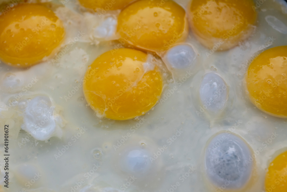 many Sunny-Side Up Fried Eggs Closer UP. High quality photo many Sunny-Side Up Fried Eggs Closer UP. High quality photo