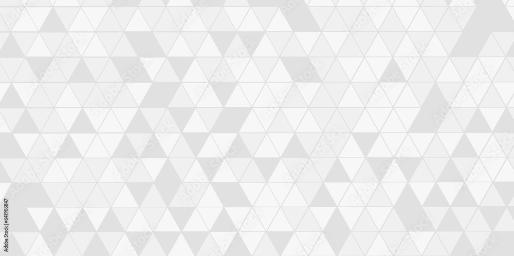 Obraz premium Abstract gray and white geomatric triangle background. Abstract geometric pattern gray and white Polygon Mosaic triangle Background, business and corporate background.