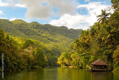 A small hut on tropical river with palm trees on both shores, Loboc river, Bohol © Tatiana Kashko
