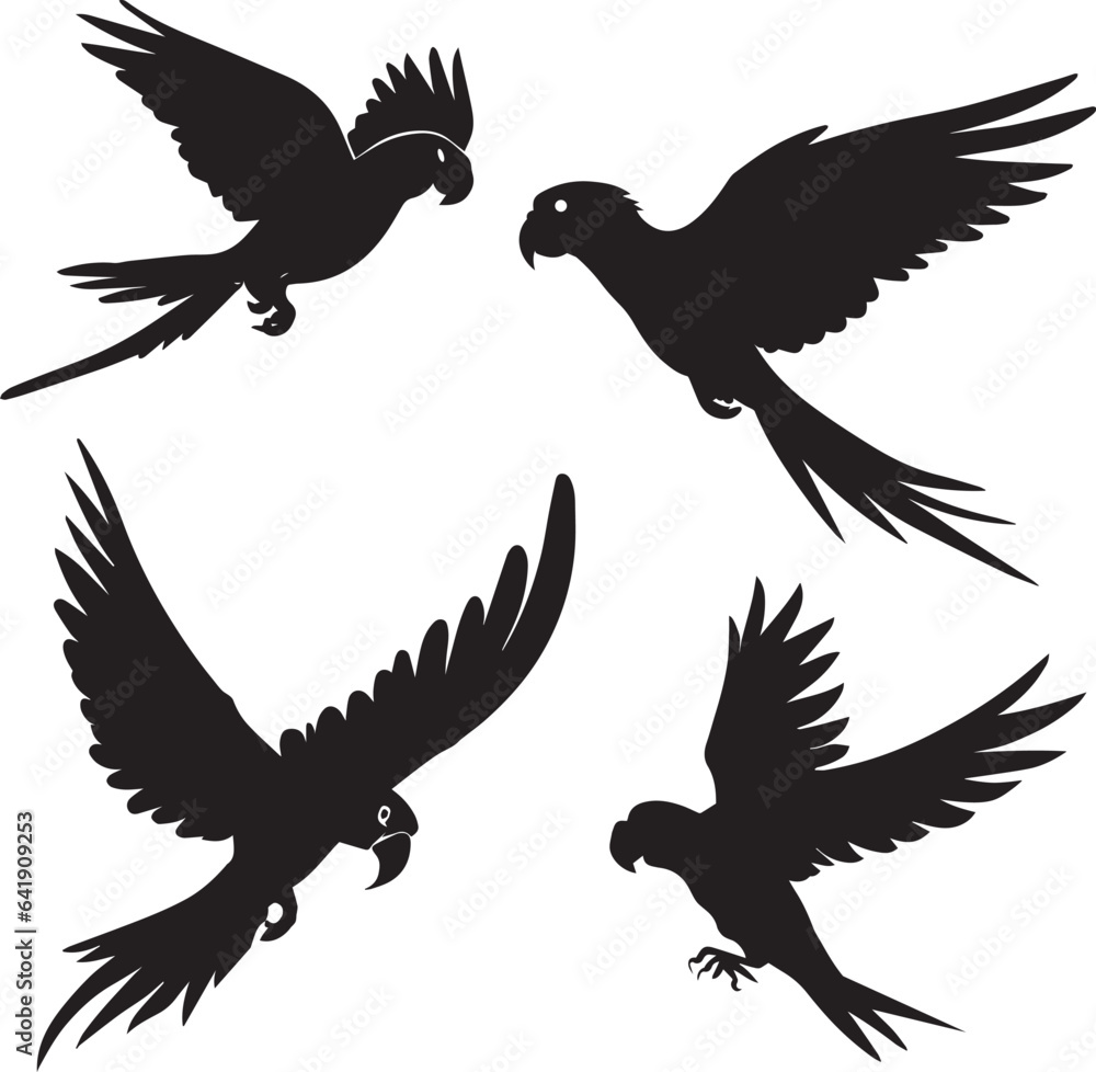 Obraz premium Flying bird vector silhouette illustration black color