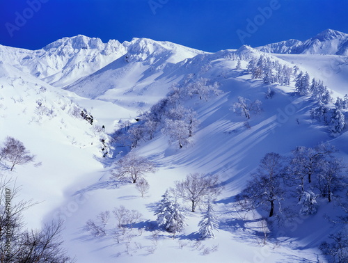冬の大雪山国立公園(上富良野町）
