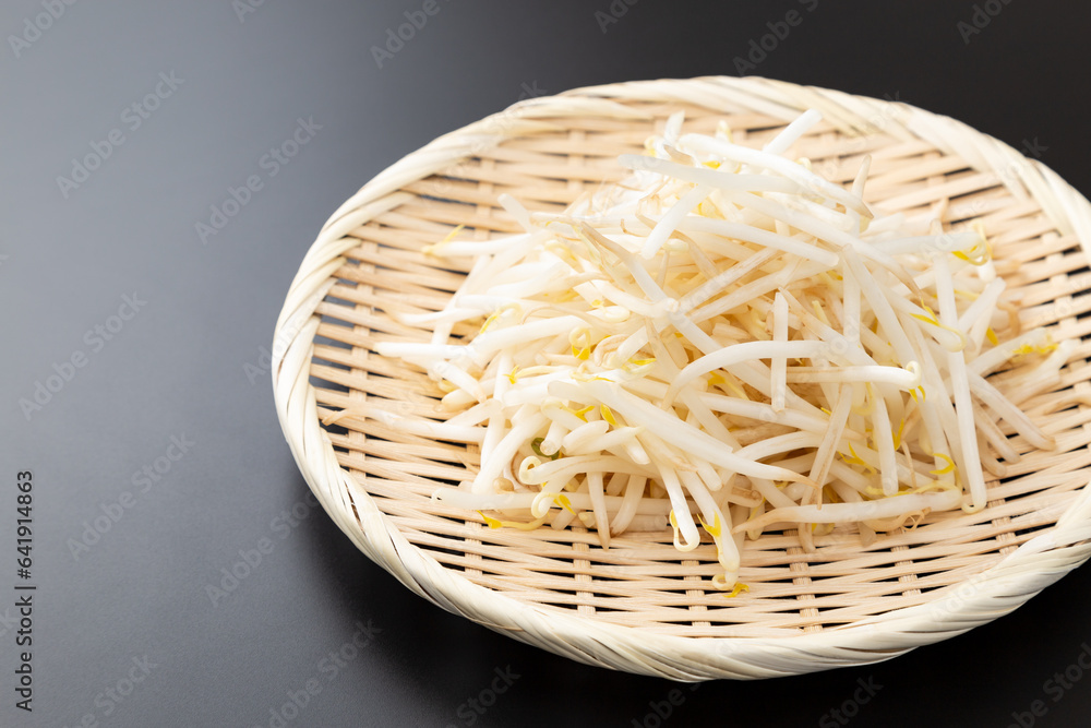 黒背景に豆もやし 黒背景に豆もやし