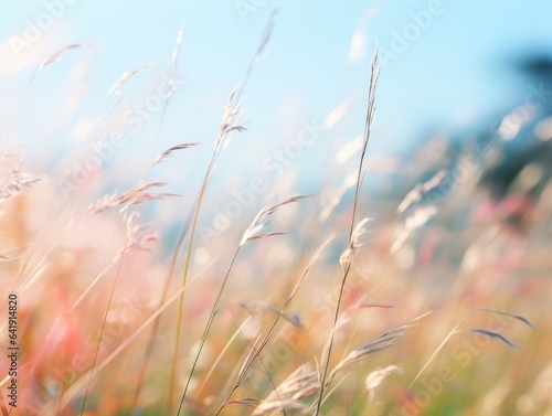 A field of tall grass with a blue sky in the background. Generative AI.