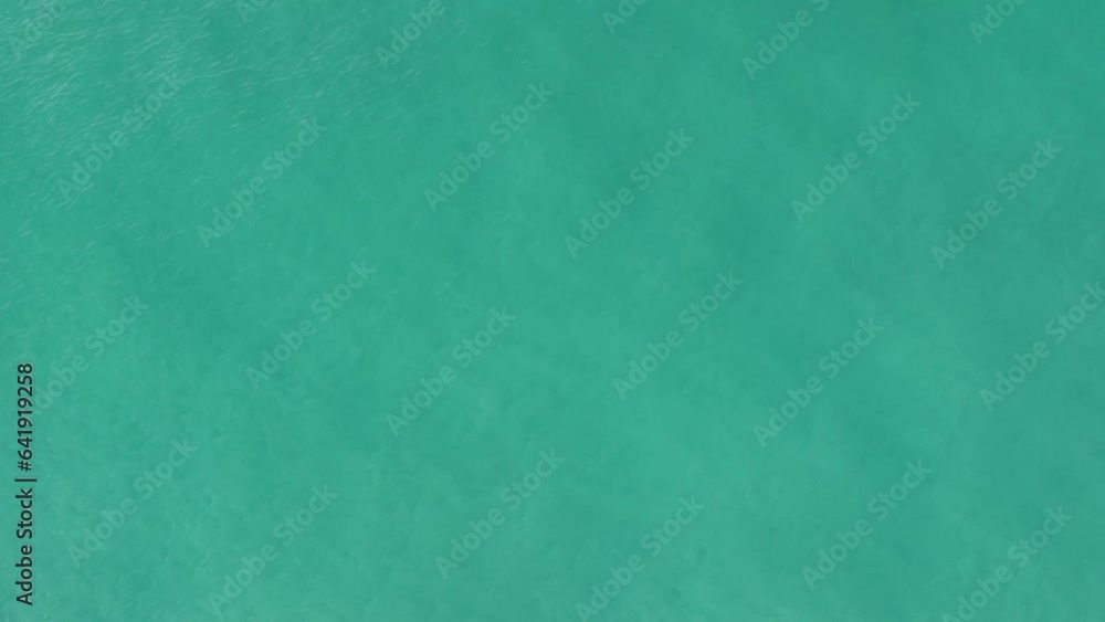 Destin Florida - School Of Tiny Fish Swimming In Turquoise Ocean Water of Gulf of mexico in Destin Florida. Aerial topdown view of small fish group in clean, transparent sea water blue ocean sunlight Destin Florida - School Of Tiny Fish Swimming In Turquoise Ocean Water of Gulf of mexico in Destin Florida. Aerial topdown view of small fish group in clean, transparent sea water blue ocean sunlight