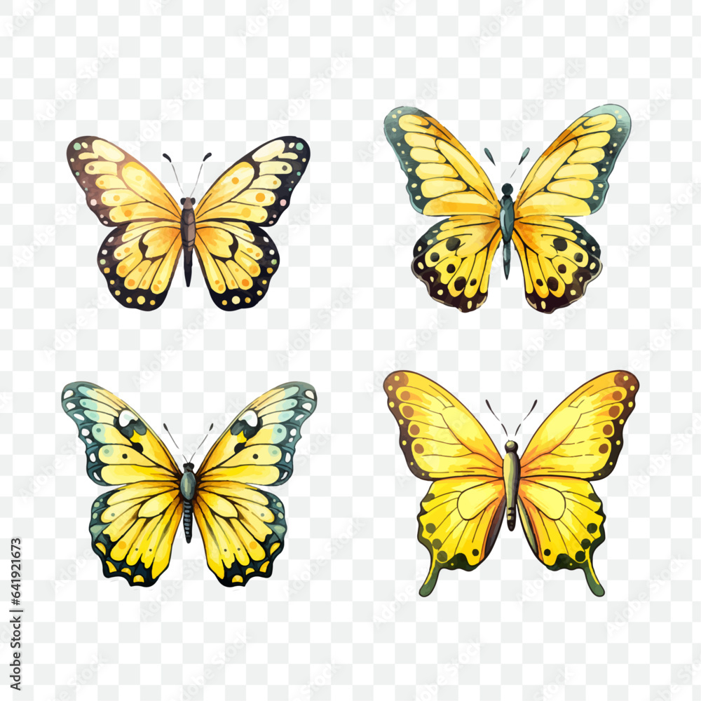 Butterfly transparency vector graphic element Butterfly transparency vector graphic element