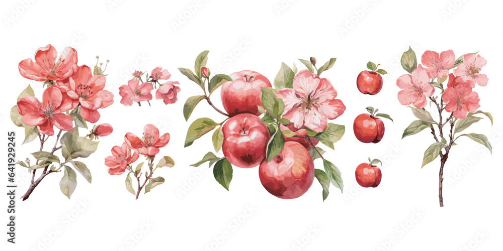 Αυτοκόλλητο watercolor apple blossom clipart for graphic resources