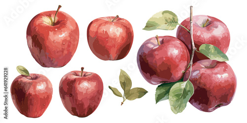 watercolor apple clipart for graphic resources