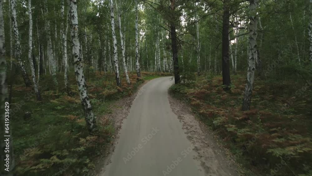 A slow flight over a forest road in a picturesque summer green forest. Drone view A slow flight over a forest road in a picturesque summer green forest. Drone view