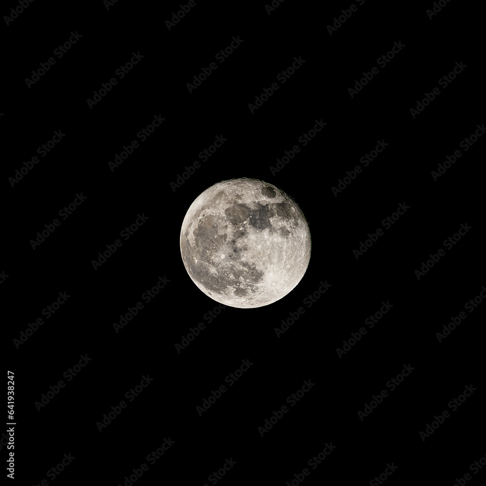 Fototapeta premium full moon in the night
