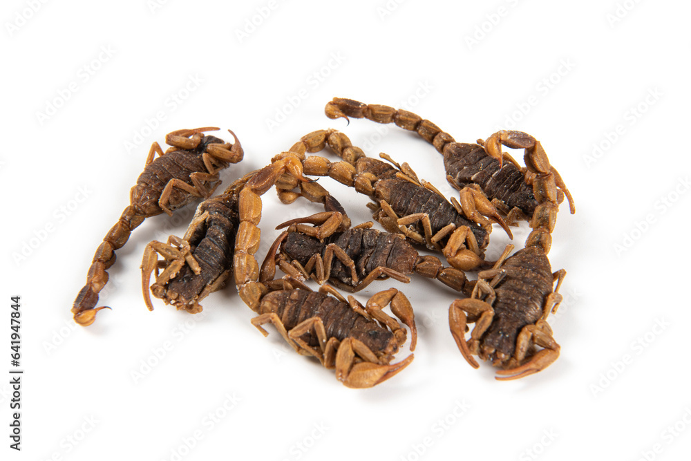 Obraz premium Dried scorpion isolated on White Background
