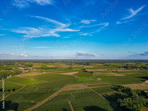 Aerial view Bordeaux Vineyard at sunrise, Entre deux mers, Gironde. High quality photo photo