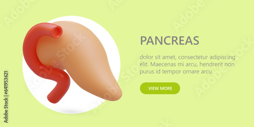 Realistic pancreas. Secretion of digestive juices and hormones. Organ of insulin production. Diabetes. Pancreatitis concept. Online advertising of clinic. Button links to site