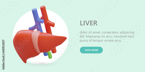 Realistic liver with veins, arteries and gall bladder. Color illustration in cartoon style. Concept for advertising in social networks. Template with link button to landing page