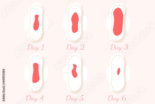 Female regular menstrual cycle, menstrual period, menstruation. Menstrual sanitary napkin pattern with blood drops during all period days, menstruation and hygiene products for women.