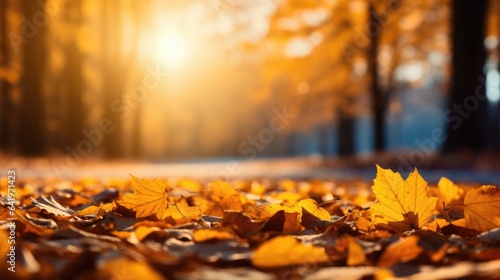 Beautiful autumn landscape with yellow leaves and sun. Colorful foliage in the park. Falling leaves natural background.