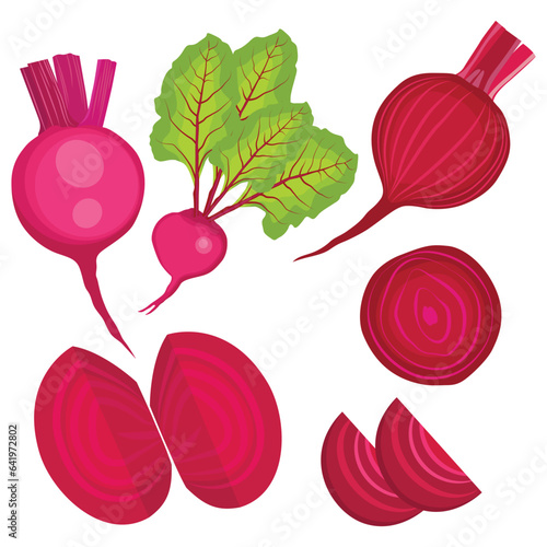 Vector illustration single and set of beetroot in cartoon flat style. Whole, cut, sliced of organic healty beet vegetable farmer product. Set of beet in different forms isolated on white background.