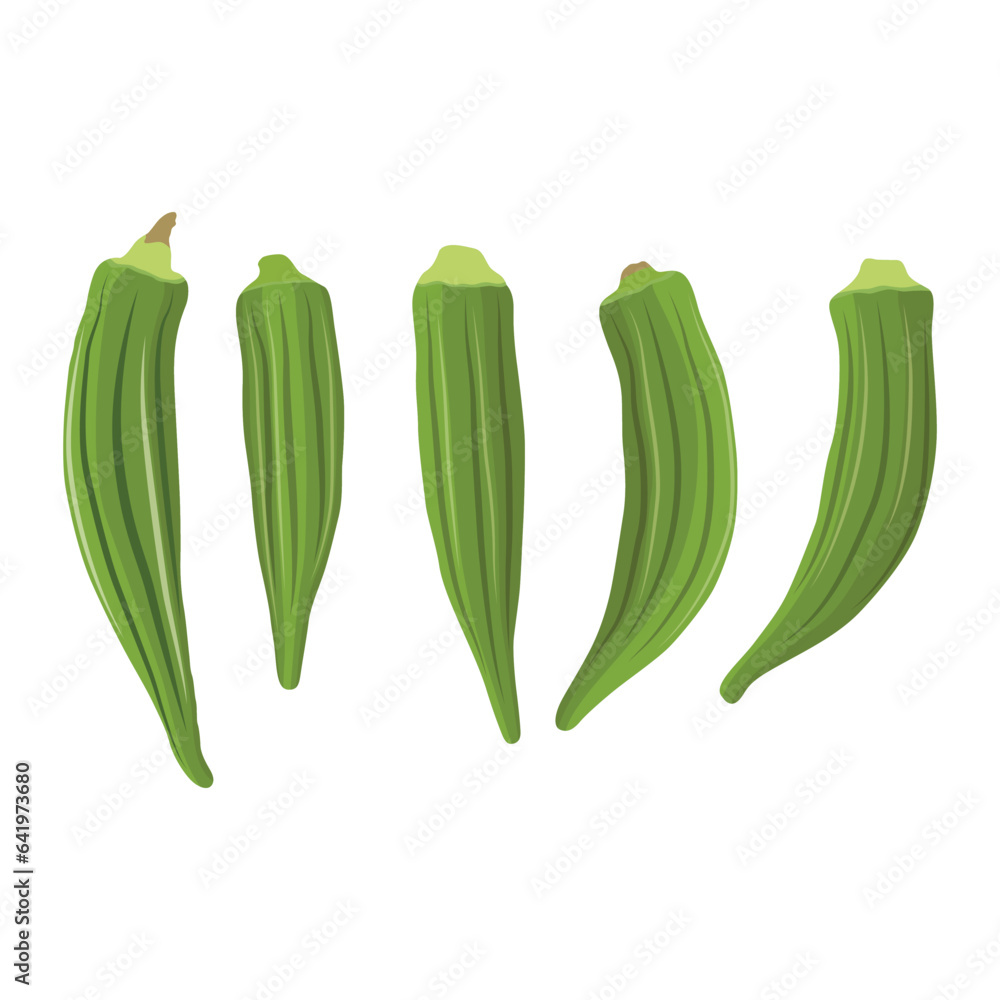Vecktor illustration of Okra, Okura Okazu, ladyfinger, bamia or Bhindi. Fresh green vegetable, asian cooking ingredient. Whole and sclice. Healthy vegetarian food. Flat vector in cartoon style. Vecktor illustration of Okra, Okura Okazu, ladyfinger, bamia or Bhindi. Fresh green vegetable, asian cooking ingredient. Whole and sclice. Healthy vegetarian food. Flat vector in cartoon style.