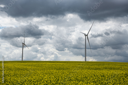 Windmills for electric power surrounded by a rapeseed field against a cloudy sky, Energy Production with clean and Renewable Energy, High quality photo