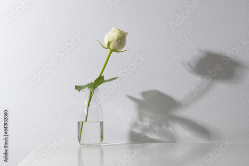 White rose flower in glass vase and copy space on white background